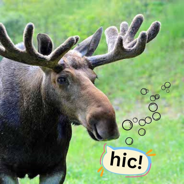Has Your Moose Been Overserved?